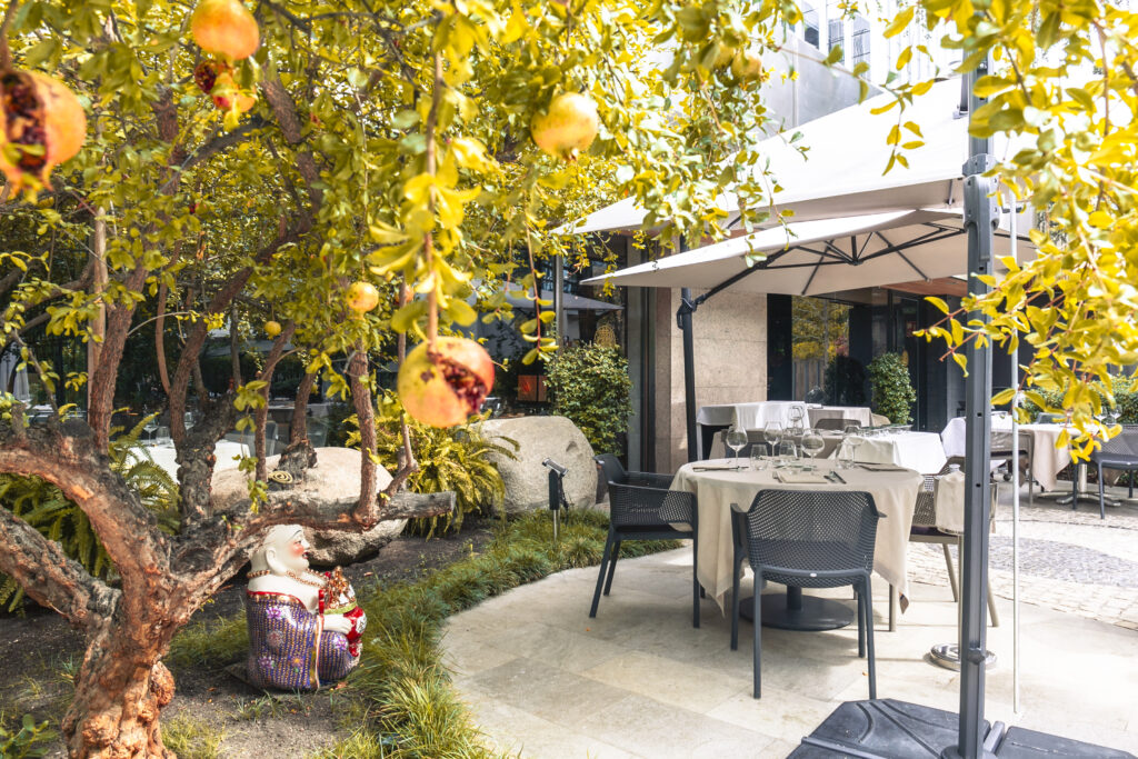TSE YANG TERRAZA